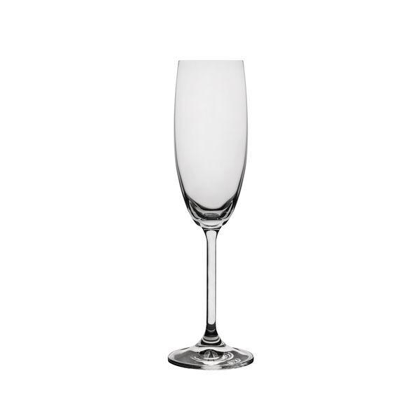 Ryner Glass Carnivale Champagne Flute, 180mL 