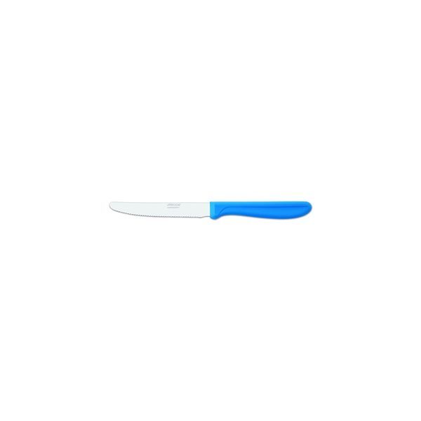 Paring/Steak Knife Blue Handle-110mm | Serrated