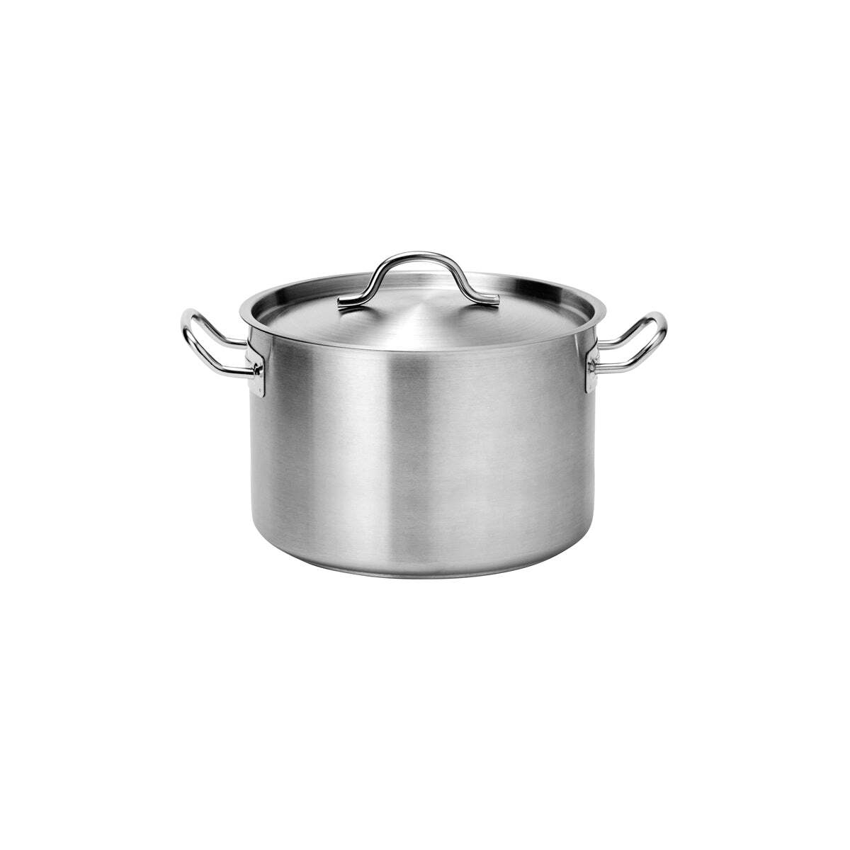 Force Casserole W/Lid 300X200mm Ss Tri-Ply 14Lt